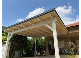 עצים לפרגולה