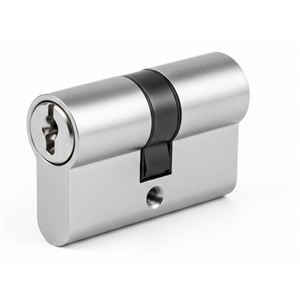 צילינדר 80 מ"מ לשער