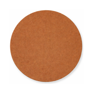 דיסק נצמד "4.5